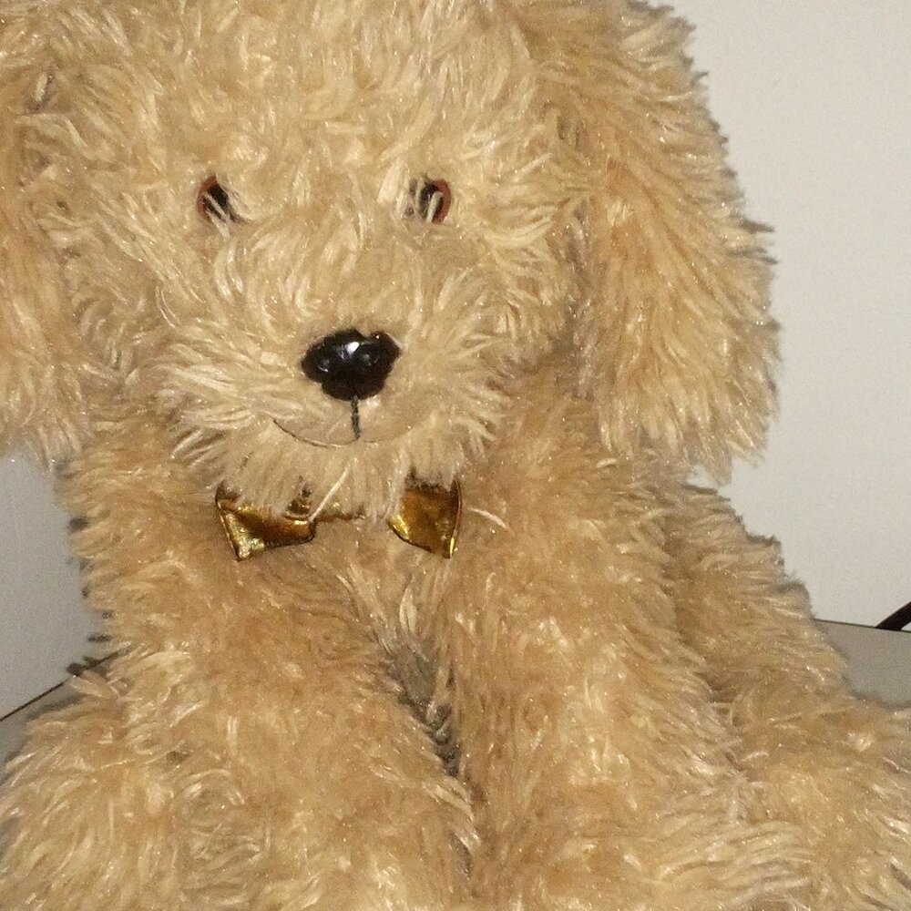 F.A.O. . Schwartz PUPPY-DOG